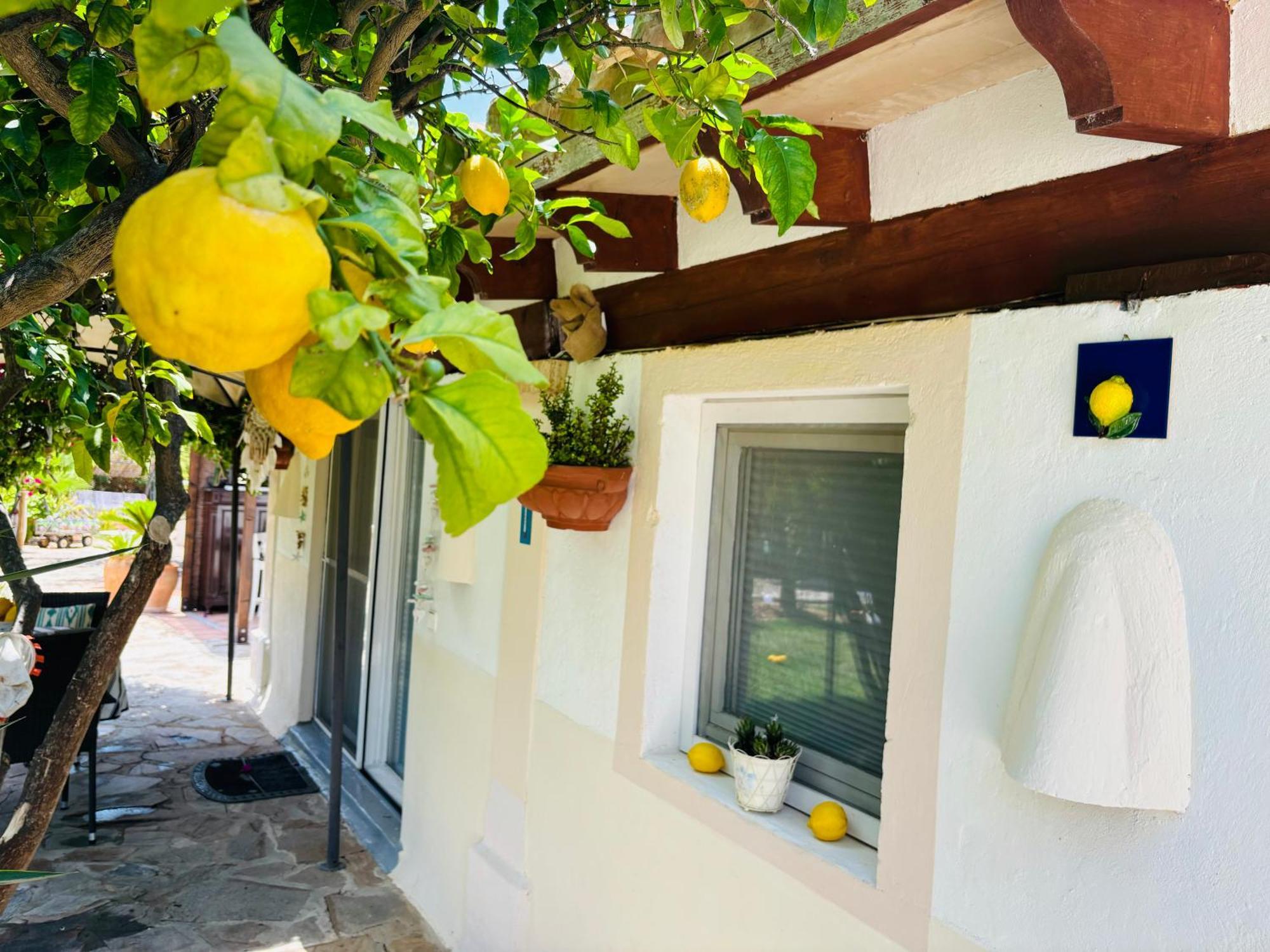 Casita Limon Andratx Villa Exterior photo